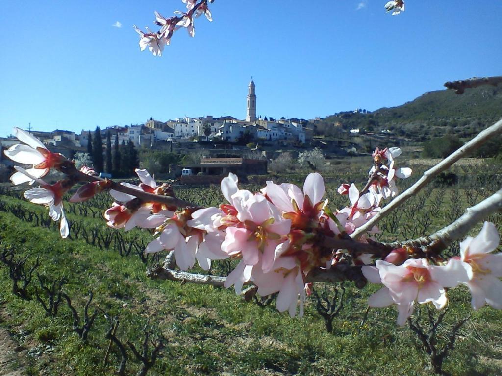 Cal Ganso Encantat Albinyana Dış mekan fotoğraf
